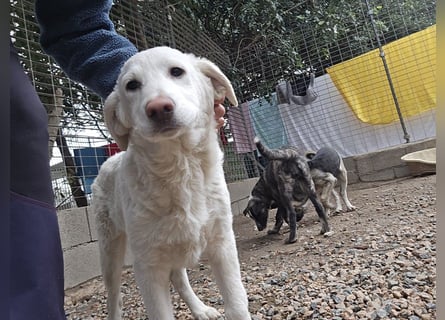 Clarissa: sehnt sich nach 1000 Streichelhänden