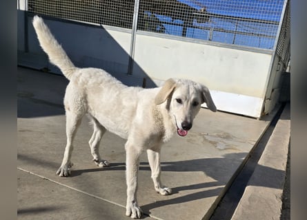 Teo: unkompliziert, freundlich, sozial