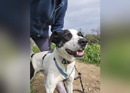 Diddo:  verschmuster Schatz hatte eine Familie