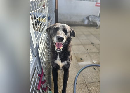 Ena: nur einmal Liebe spüren...