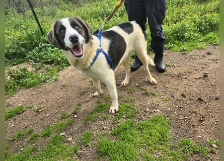 Carlo: einfach klasse!