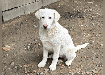Clarissa: sehnt sich nach 1000 Streichelhänden