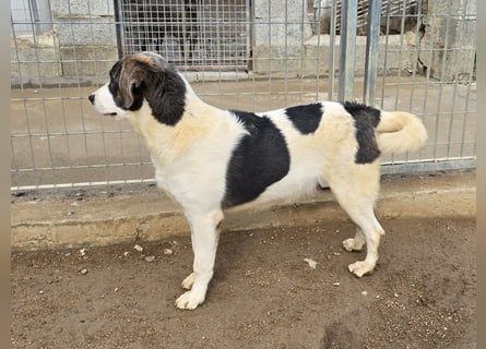 Carlo: was will man mehr?