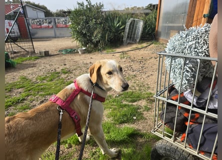 Trilly: ein Schatz für die ganze Familie