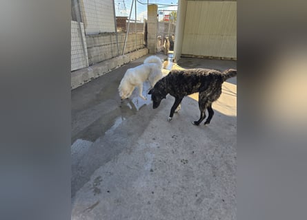 Teo:  wer zeigt ihm die bunte Welt?