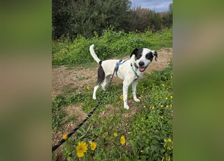 Diddo:  verschmuster Schatz hatte eine Familie