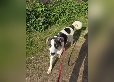 Carlo: was will man mehr?