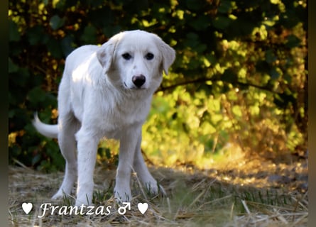 Giorgia und Frantzas  suchen ein Zuhause