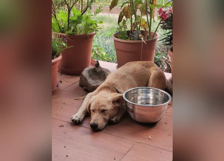 Der kleine Kalle kann in der Südpfalz besucht werden
