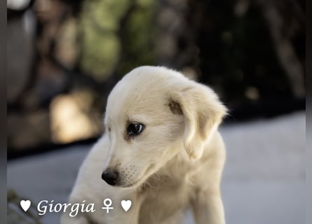 Giorgia und Frantzas  suchen ein Zuhause