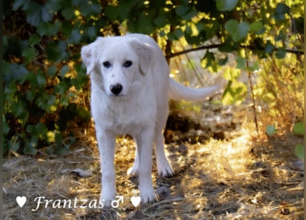 Giorgia und Frantzas  suchen ein Zuhause