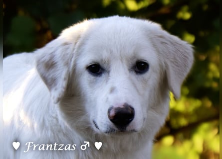 Giorgia und Frantzas  suchen ein Zuhause