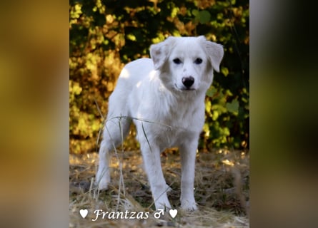 Giorgia und Frantzas  suchen ein Zuhause