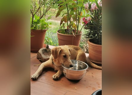 Der kleine Kalle kann in der Südpfalz besucht werden