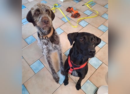 Jack – Rohdiamant sucht Feinschliff