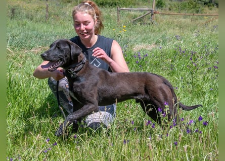 Jack – Rohdiamant sucht Feinschliff