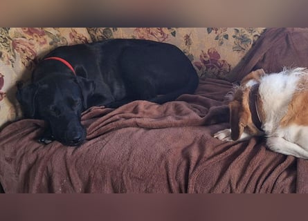 Jack – Rohdiamant sucht Feinschliff