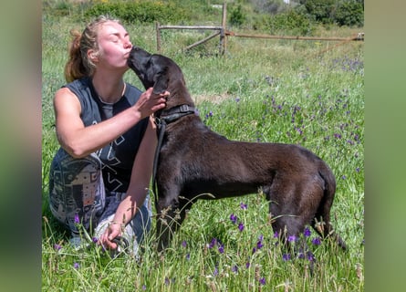 Jack – Rohdiamant sucht Feinschliff