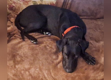 Jack – Rohdiamant sucht Feinschliff