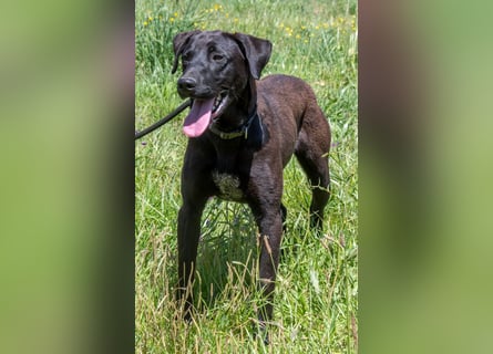 Jack – Rohdiamant sucht Feinschliff