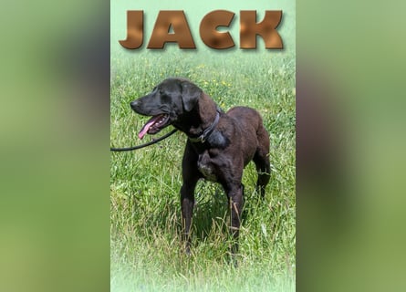 Jack – Rohdiamant sucht Feinschliff