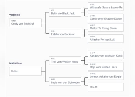 Deckrüde - Labrador-Retriever - Arne von Lammertshof – schwarz – kein Verkauf