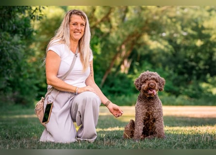 LaCody - ruhiger Zeitgenosse - Tierhilfe Franken e.V.