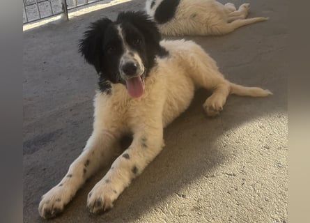 Caramela: sie liebt das Leben