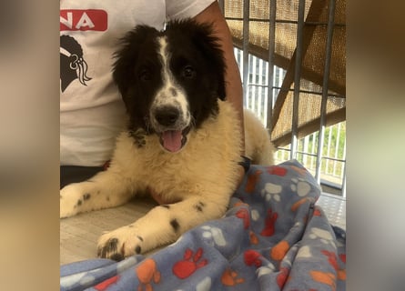 Caramela: sie liebt das Leben