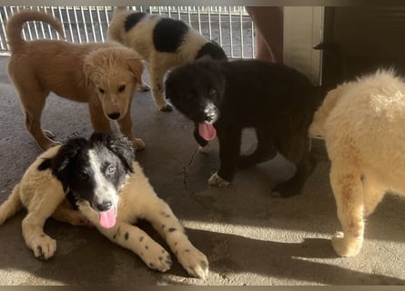 Caramela: sie liebt das Leben