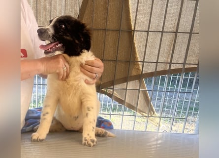 Caramela: sie liebt das Leben