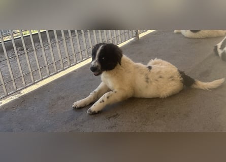 Caramela: sie liebt das Leben