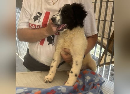 Caramela: sie liebt das Leben