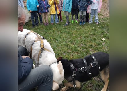 Cucciolo- auch das schaffen wir!