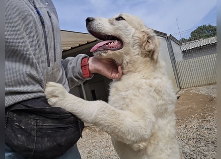Betty: wird mein Leben bunt und schön?