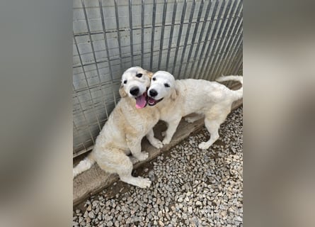 Betty: wird mein Leben bunt und schön?