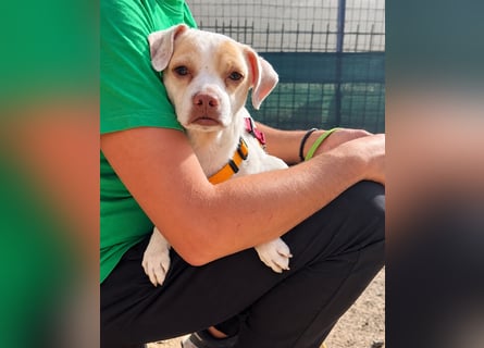 Spike: einfach Zucker