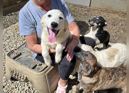 Betty: wird mein Leben bunt und schön?