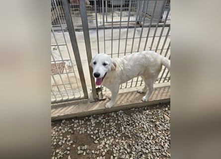 Betty: wird mein Leben bunt und schön?