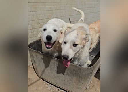 Betty: wird mein Leben bunt und schön?