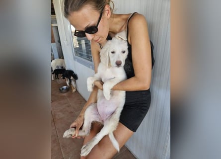 Tomassina: verschmuste Prinzessin