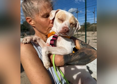 Spike: einfach Zucker