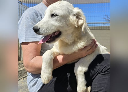 Betty: wird mein Leben bunt und schön?