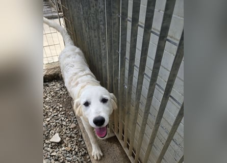 Betty: wird mein Leben bunt und schön?