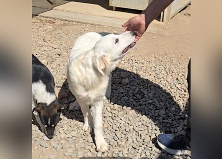 Betty: wird mein Leben bunt und schön?