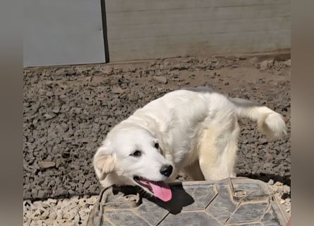 Betty: wird mein Leben bunt und schön?