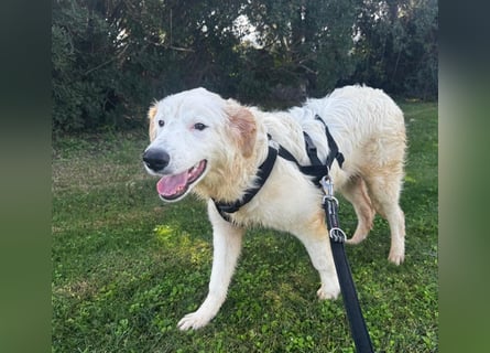 Tom: verliebt in alle Menschen