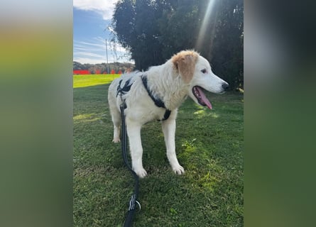 Tom: verliebt in alle Menschen