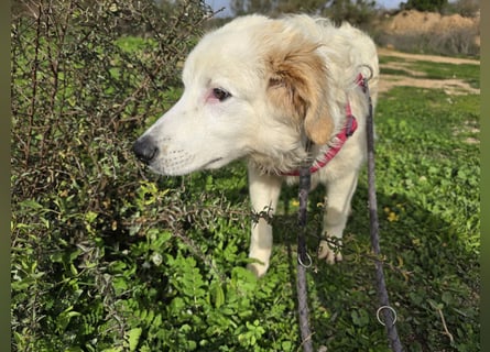 Tom: verliebt in alle Menschen