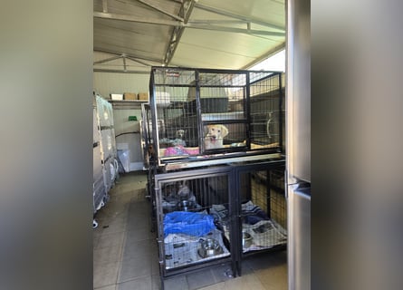 Sebastian: kleiner Schelm freut sich aufs Leben